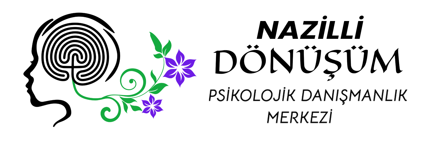 donusumpsikolojinazilli.com